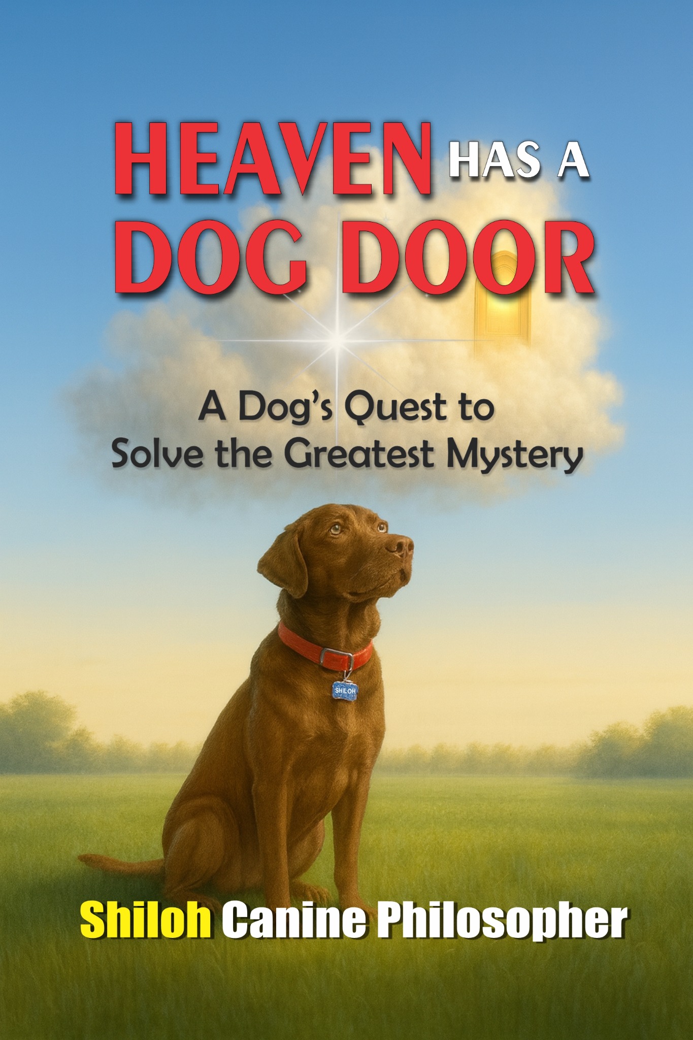 Heaven Has a Dog Door book cover