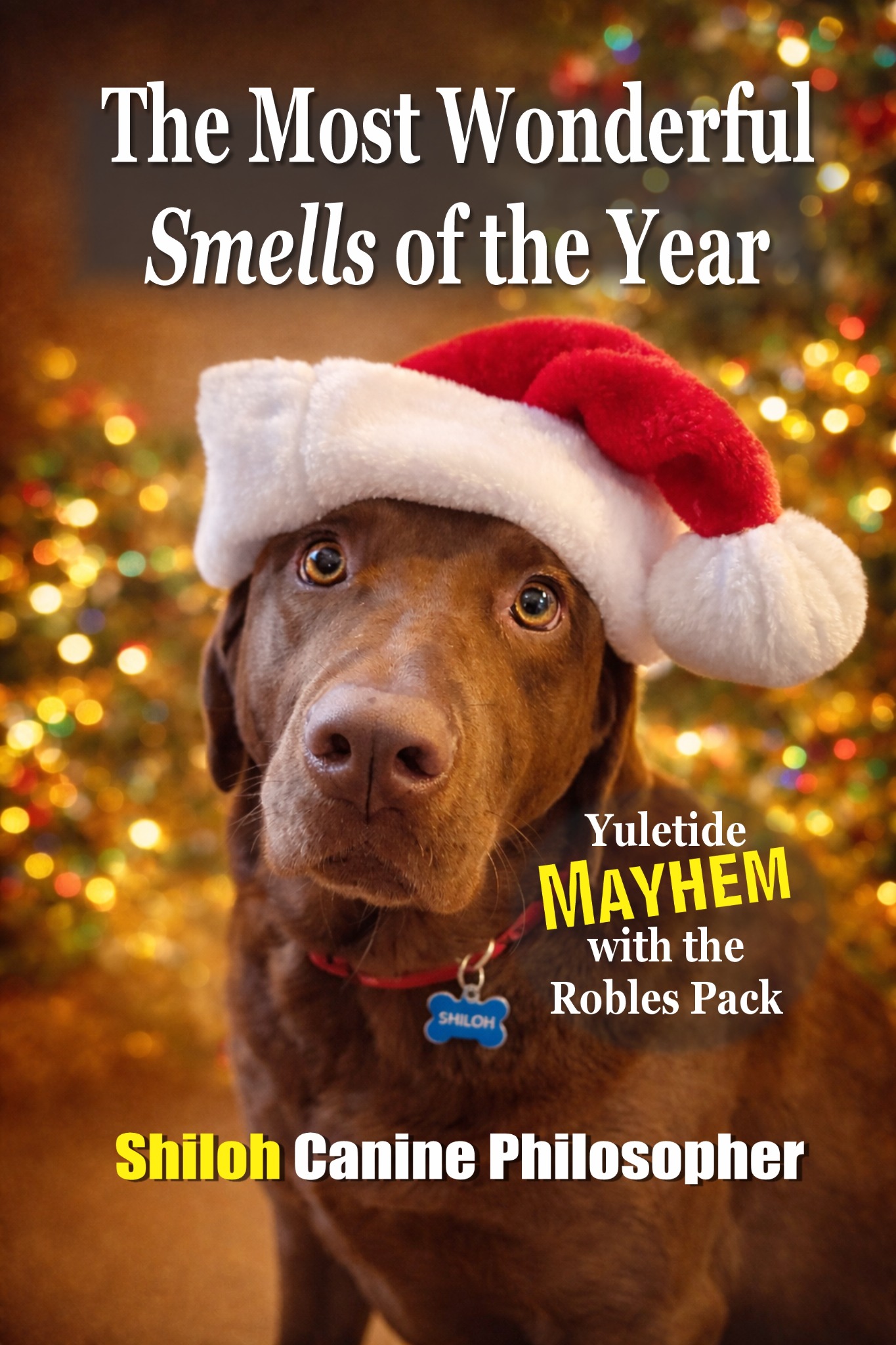 The Most Wonderful Smells of the Year book cover